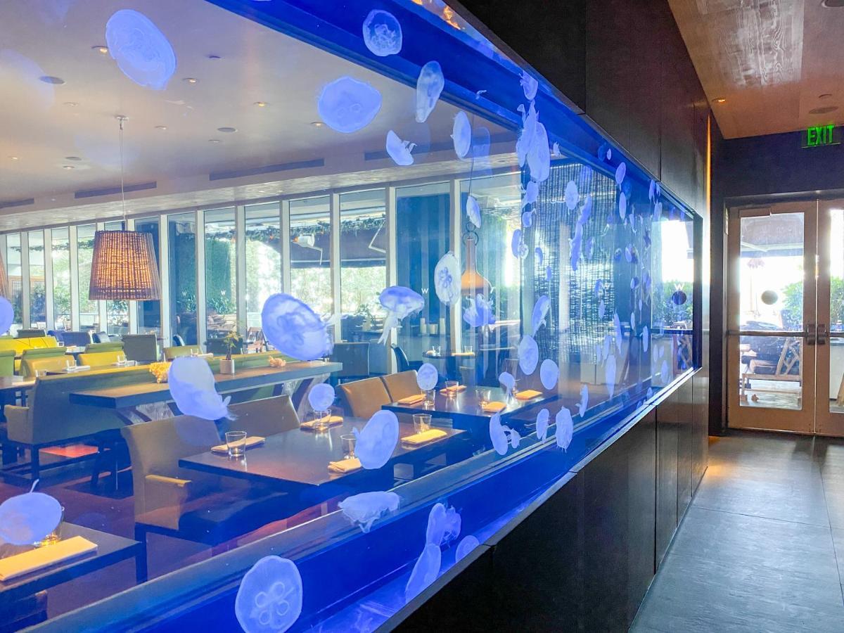 W Residences Fort Lauderdale Luxury Suites Extérieur photo